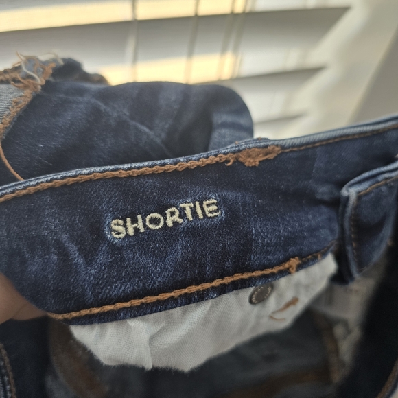 American Eagle Outfitters Shortie Blue Denim Shorts - Picture 9 of 11